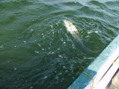 Y nos fuimos de pintas! Y otros mas.