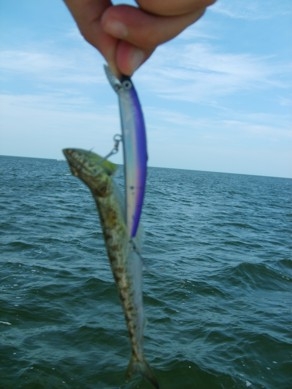 Y nos fuimos de pintas! Y otros mas.