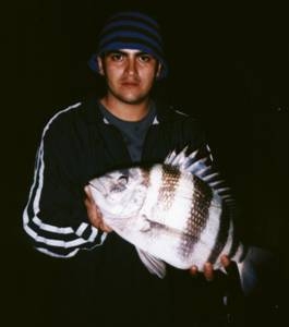 La pesca del Sargo
