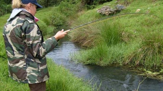 4 de 5 y de esas cuatro... 3 GRANDES!