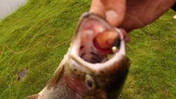 4 de 5 y de esas cuatro... 3 GRANDES!