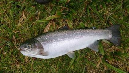 Bellas, bellas y sobre todo bien pescadoras!!! Bellas, bellas y sobre todo bien pescadoras!!!