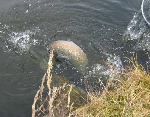 Empece 2008 rompiendo mis records