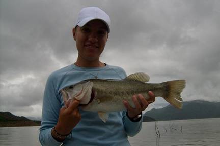 Lombrices, lombrices y mas lombrices