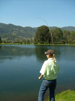 En busca de los machos, en Rancho El Pedregal