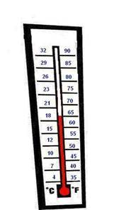 Senuelos para cada temporada en pesca de Lobina
