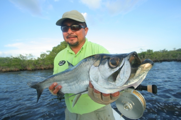 baby tarpon por el puma Campeche
