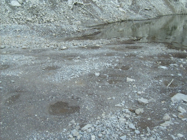 Nidos de Lobina en Zimapan