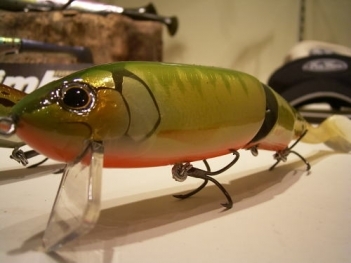 Swimbaits1.jpg
