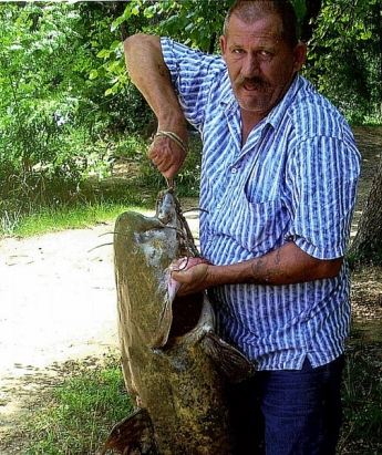 Catfish-Record.jpg Catfish-Record.jpg