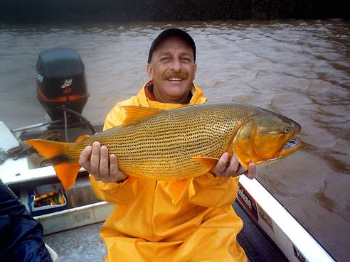 Dorados en Uruguay