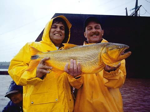 Dorados en Uruguay