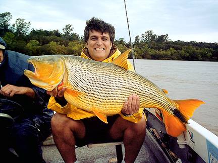 Dorados en Uruguay