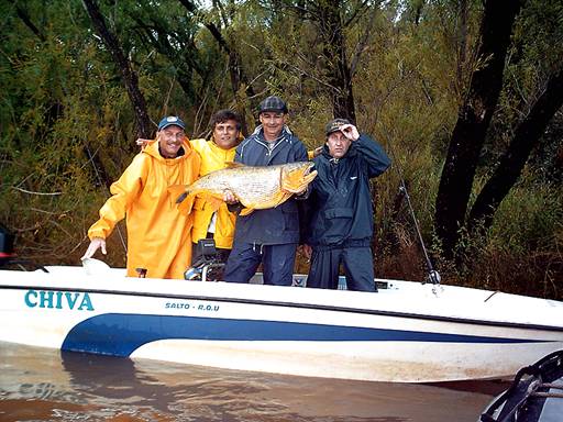 Dorados en Uruguay