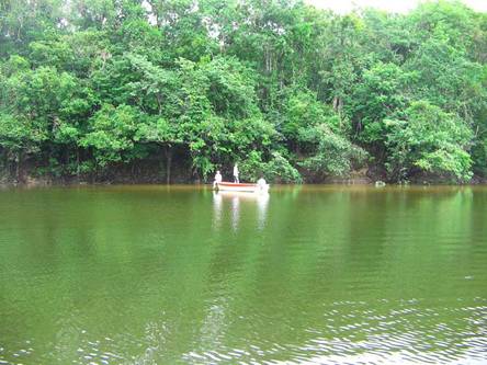 Pesca de Payaras y Pavones