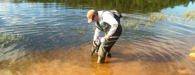 Juan antonio Pérez pescando truchas silvestres