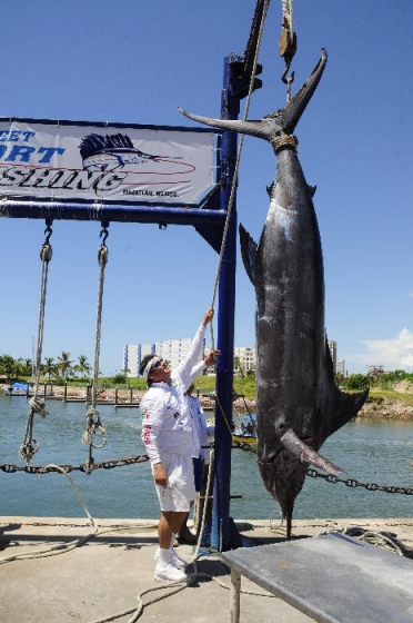 mundial big game trolling Mazatlán 2009 mundial big game trolling Mazatlán 2009