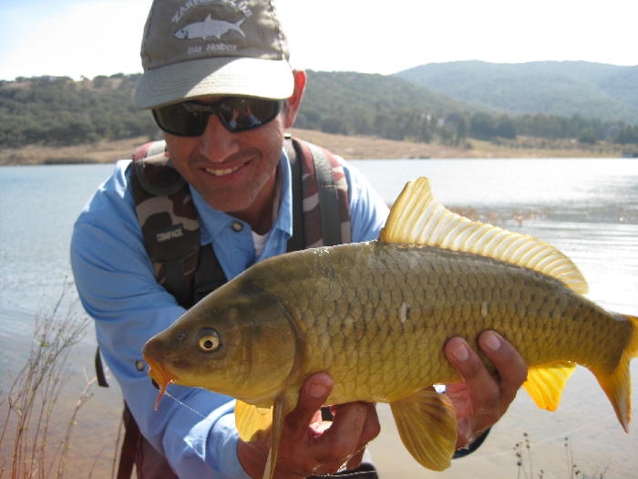 Pescando Carpas con mosca Luis Vargas