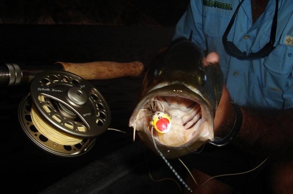 Carrete Mosca Lobina Fly Fishing