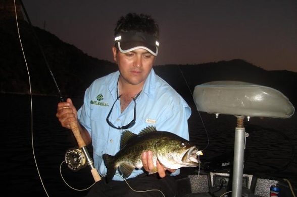 lobina con popper fly fishing