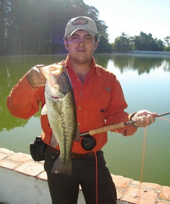 pescando lobias con mosca