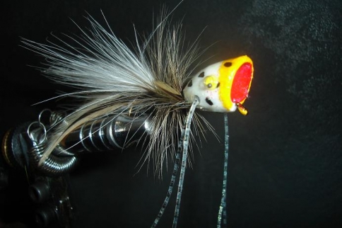 popper mosca fly fishing