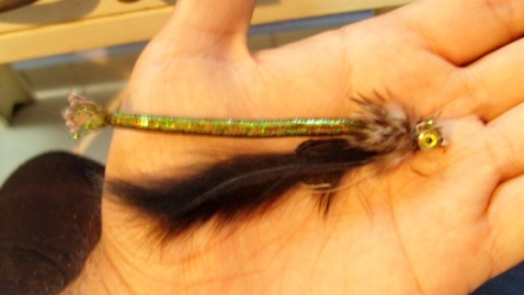 mosca para mosca