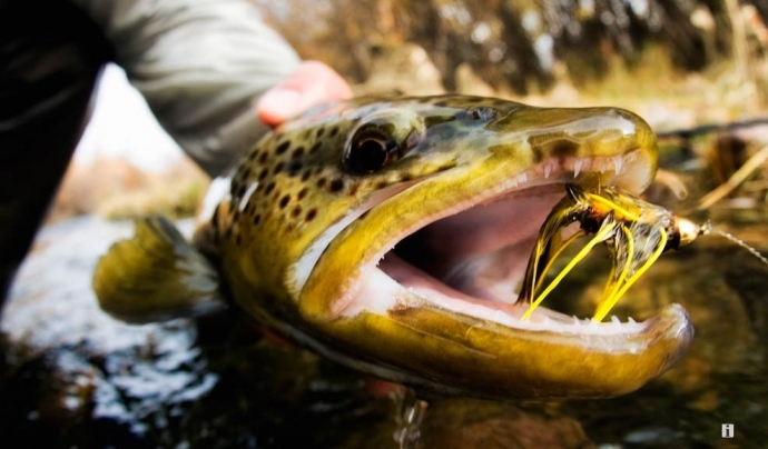 www.catchmagazine,net