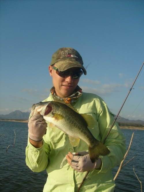 Duper Fluke de Tap Baits