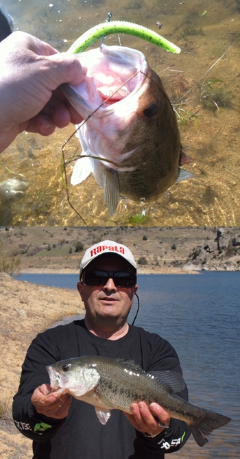 Trigger.jpg Trigger.jpg