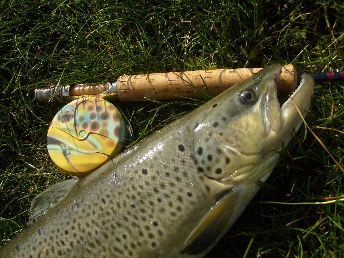 s6300054_8287.jpg