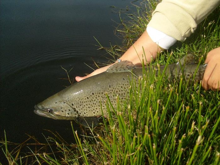 s6300057_9763.jpg