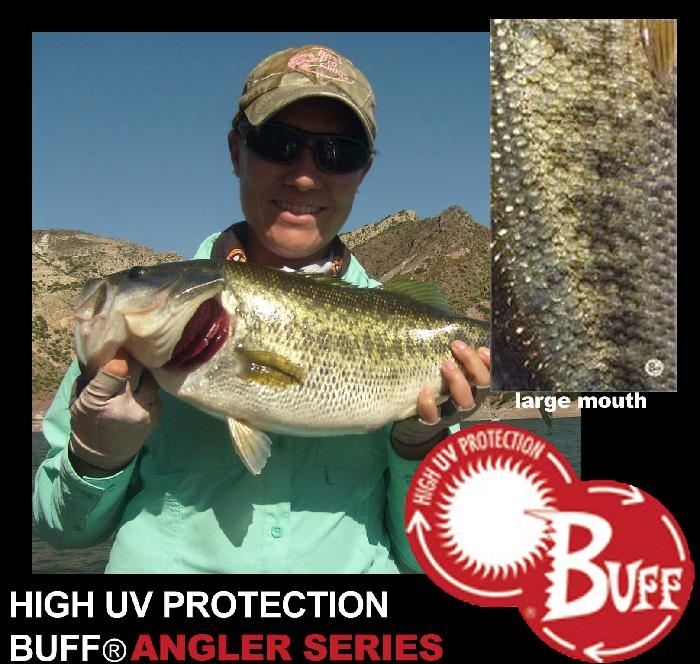 large_mouth_promo_copia_1949.jpg