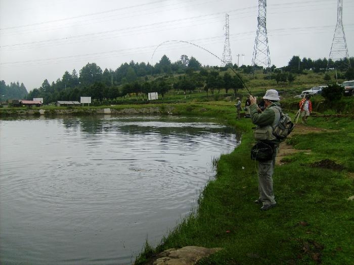 s6300010_4455.jpg