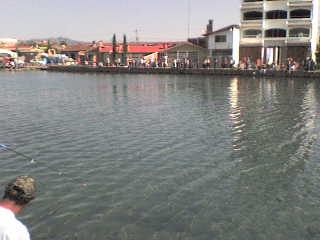 dsc00472_8557.jpg dsc00472_8557.jpg