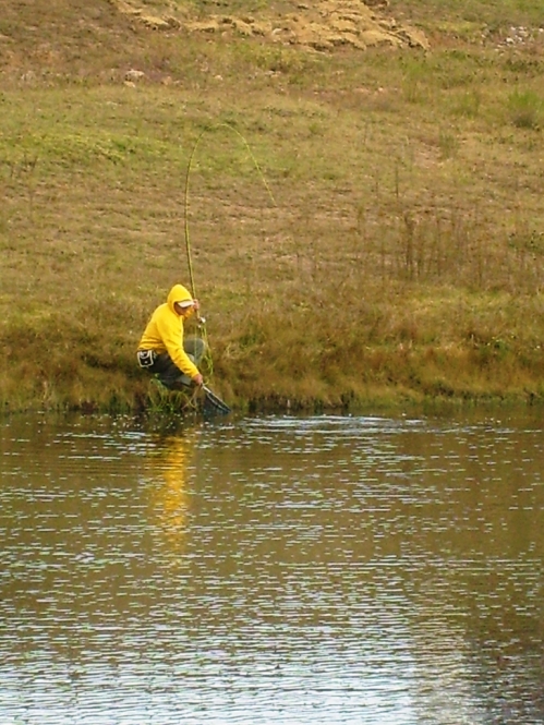 S6300209.JPG