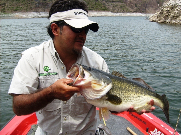 Juan Antonio Pérez Zimapan 4.6kgs