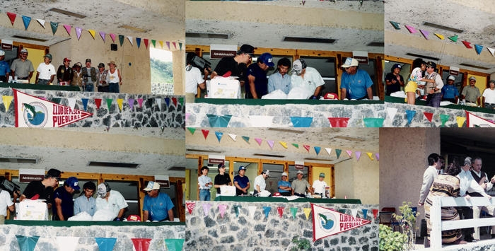 met5_1806.jpg met5_1806.jpg