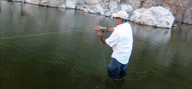 FlyStik Ross Reels