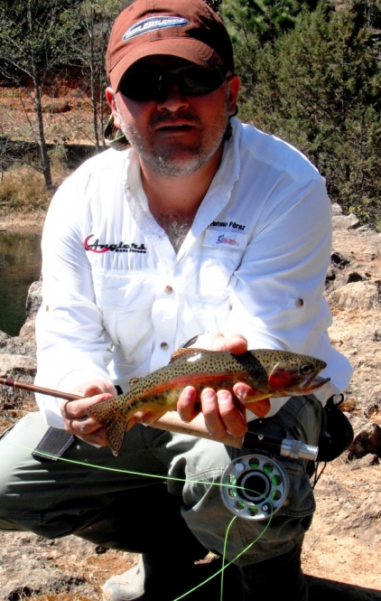 Ross Reels RX