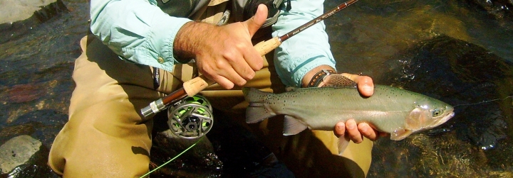 S6300134.JPG