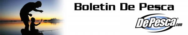 boletin-head.png
