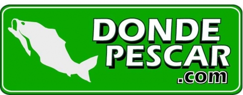 logo_v2.jpg