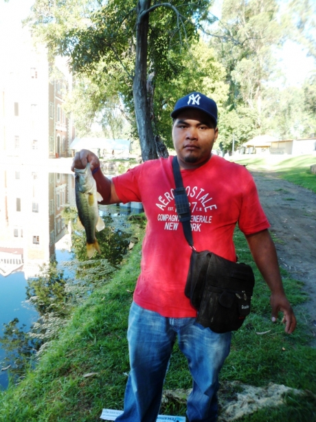 SAM_0612.JPG