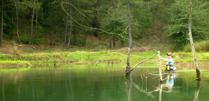 Yaisa Corrales Fly Fishing Pesca con Mosca donde pescar