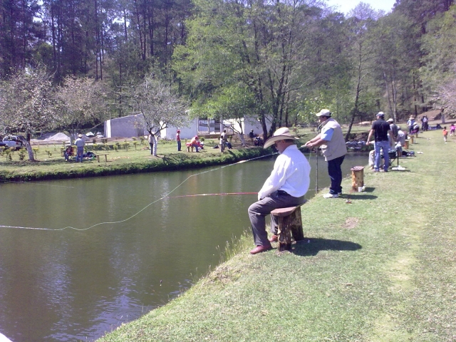 20032011580.jpg 20032011580.jpg