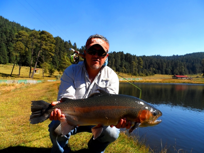 Echo Ross Reels Anglers tienda DF Loop atado atar fly fishing flyfishing floating flotante sinking trucha arcoiris carpa lobina  hundimiento engaño ejemplar trofeo caña carrete cañay carrete large arbor Midge lugares fondo agua trucha sábalo lobina carpa tippet tipett tippet líder leader clinch lanzamiento lanzar atrapar regresar bonefish tarpon permit mosca moscas dragonfly stonefly vise stonefly  hocico línea lneas sage Orvis thomas gloomis Anglers foam marabou sadle hackle biots pelo pluma atando