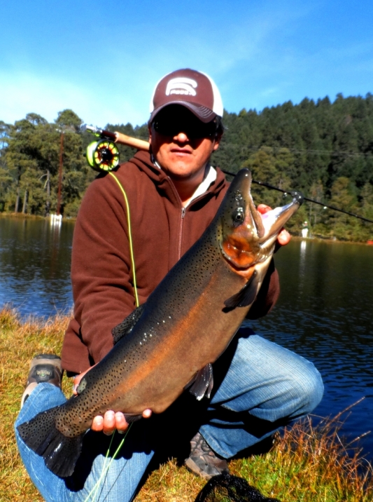 Echo Ross Reels Anglers tienda DF Loop atado atar fly fishing flyfishing floating flotante sinking trucha arcoiris carpa lobina  hundimiento engaño ejemplar trofeo caña carrete cañay carrete large arbor Midge lugares fondo agua trucha sábalo lobina carpa tippet tipett tippet líder leader clinch lanzamiento lanzar atrapar regresar bonefish tarpon permit mosca moscas dragonfly stonefly vise stonefly  hocico línea lneas sage Orvis thomas gloomis Anglers foam marabou sadle hackle biots pelo pluma atando