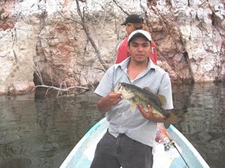 Zimapan sigue dando