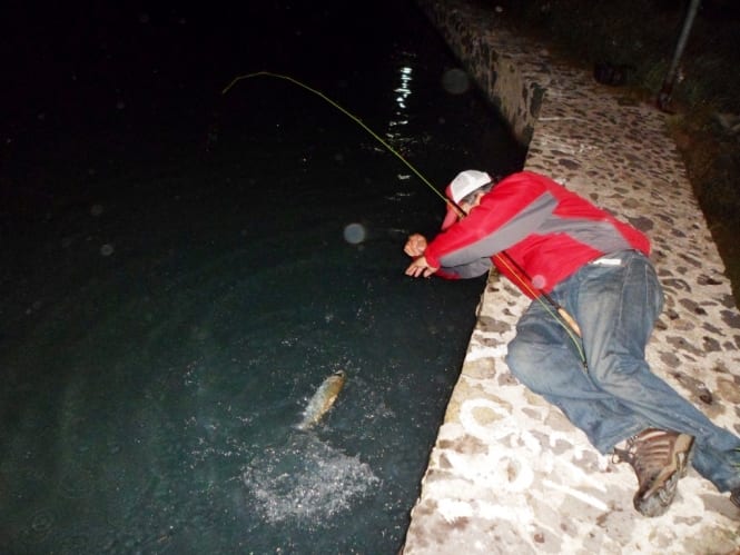 4°Torneo Nocturno de pesca con Mosca, Chignahuapan